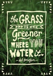 grass is not greener on the other side