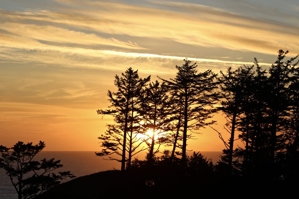 Oregon Coast Sunset