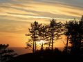 Oregon Coast Sunset