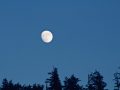 Oregon Supermoon